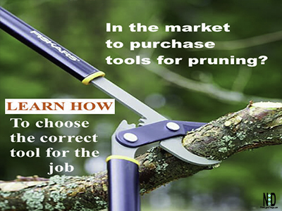 https://www.nikkilynndesign.com/wp-content/uploads/2011/03/Shear-Saw-and-Lop-Your-Way-to-the-Perfect-Cut-Prunning-Tools.jpg