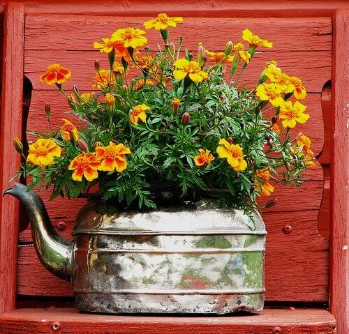 Old Tea Kettle Makes a Bold Statement as a Planter