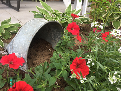 Oversized Flower Funnel Ideas for Planting Flowers in Flower Garden