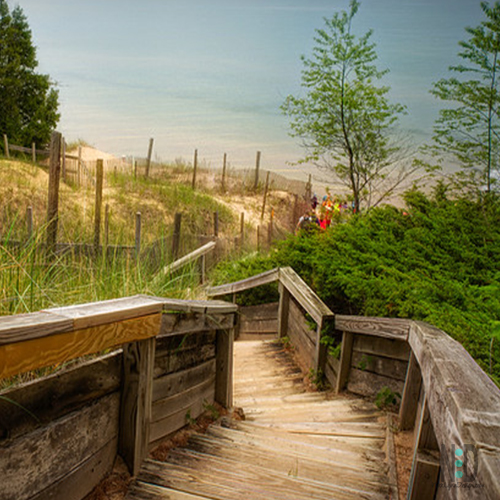 Whitefish Dunes State Park Nikki Lynn Design