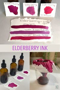 Elderberry Ink