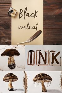 Black Walnut Ink